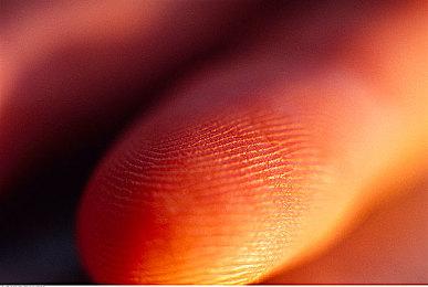 卡普空希望通过新的REX引擎 实现逼真的画面效果